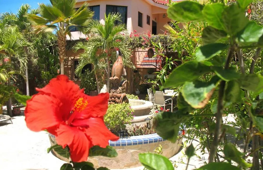 Hacienda De Palmas-1