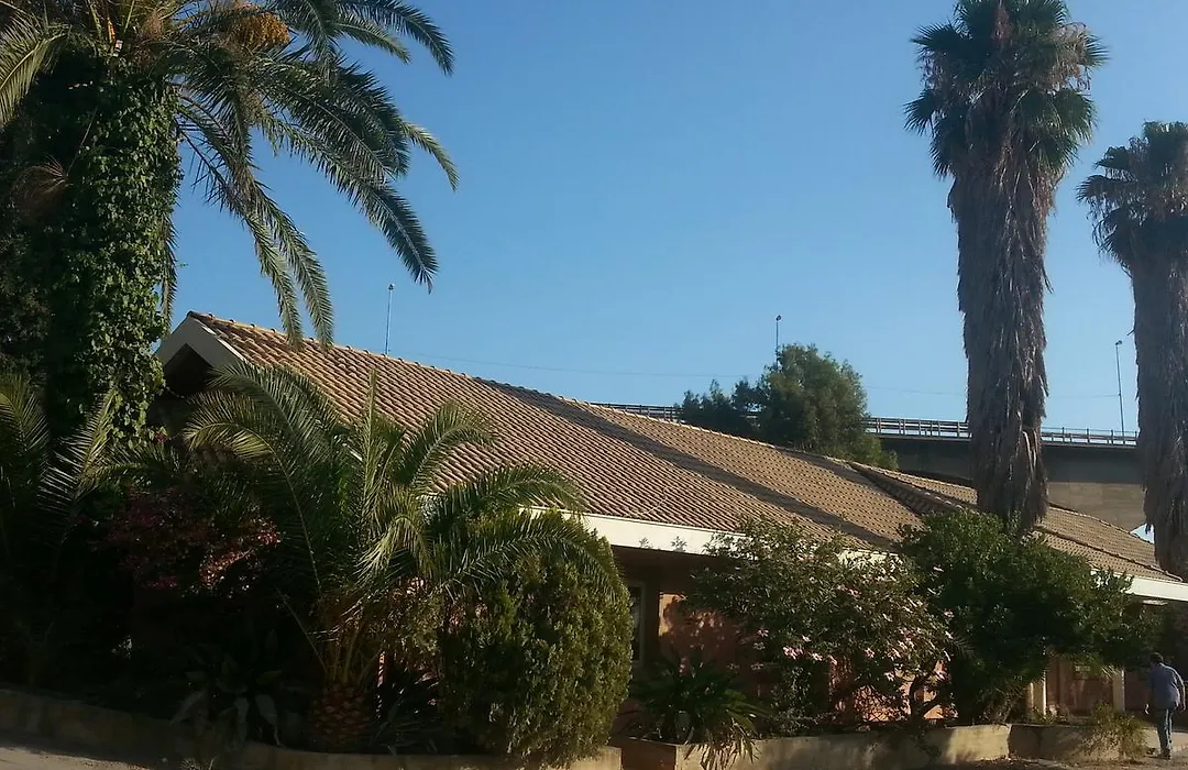 L'Albero-1