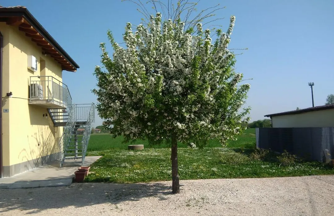 Bed & Breakfast Sant' Eurosia-1