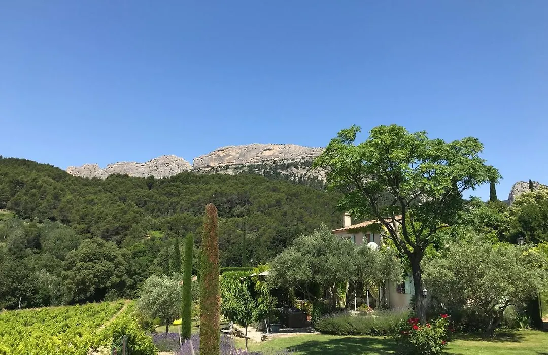 Le Grand Jardin-1