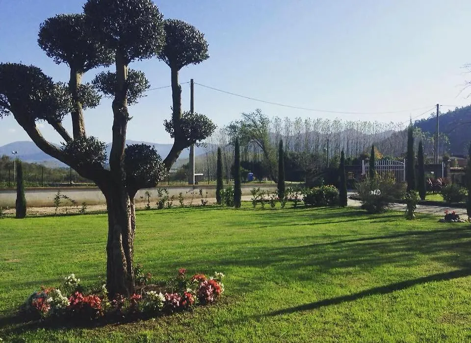 Ponte Vestilli B&B-1