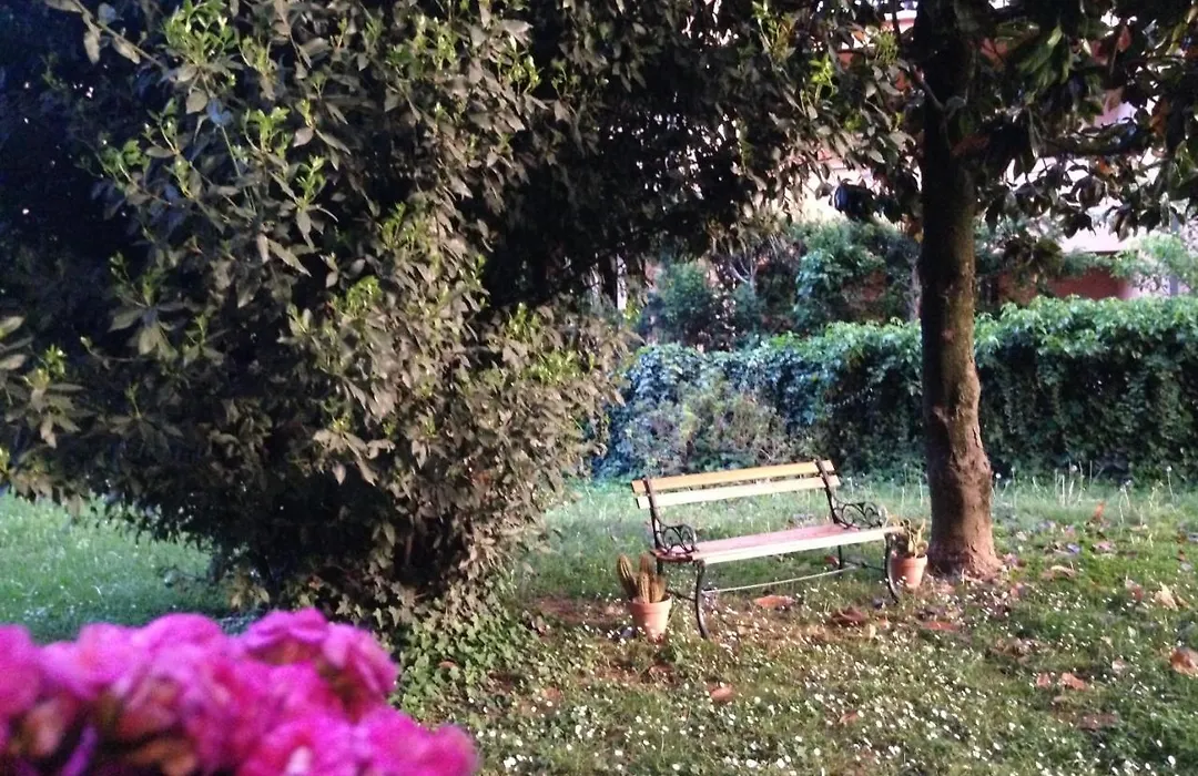 Viamilano25-1
