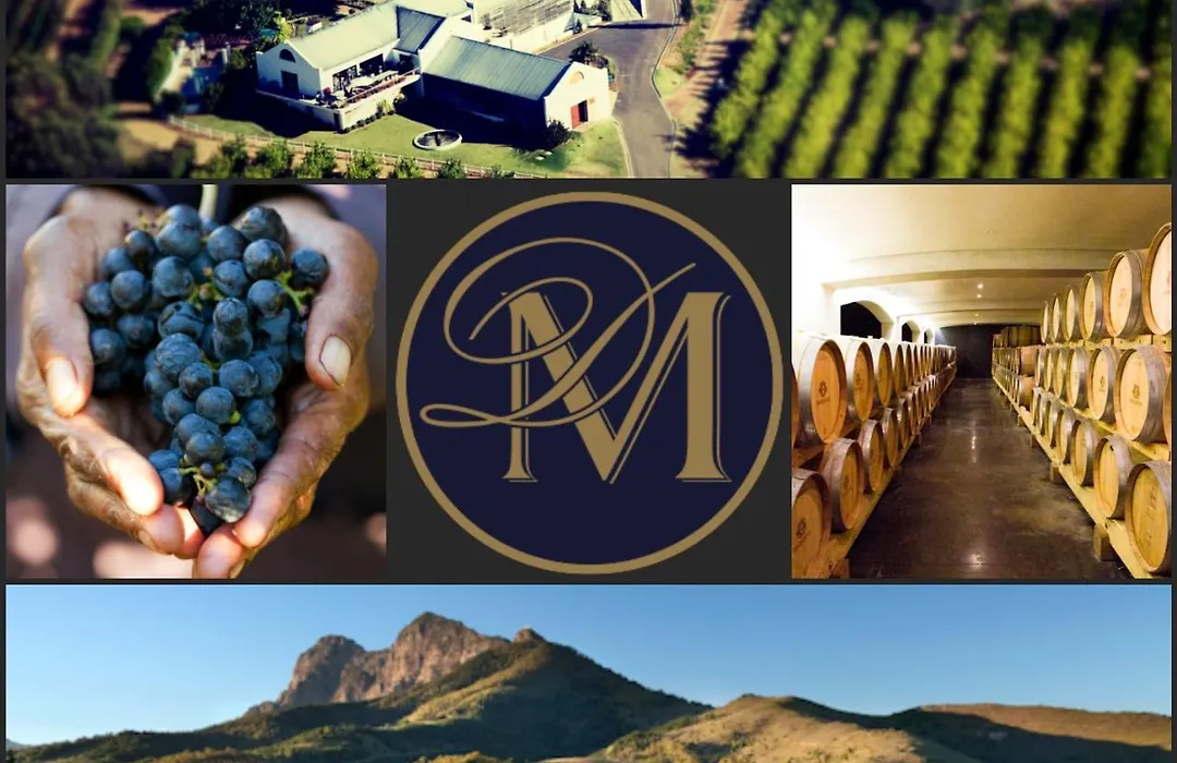 Marianne Wine Estate-1