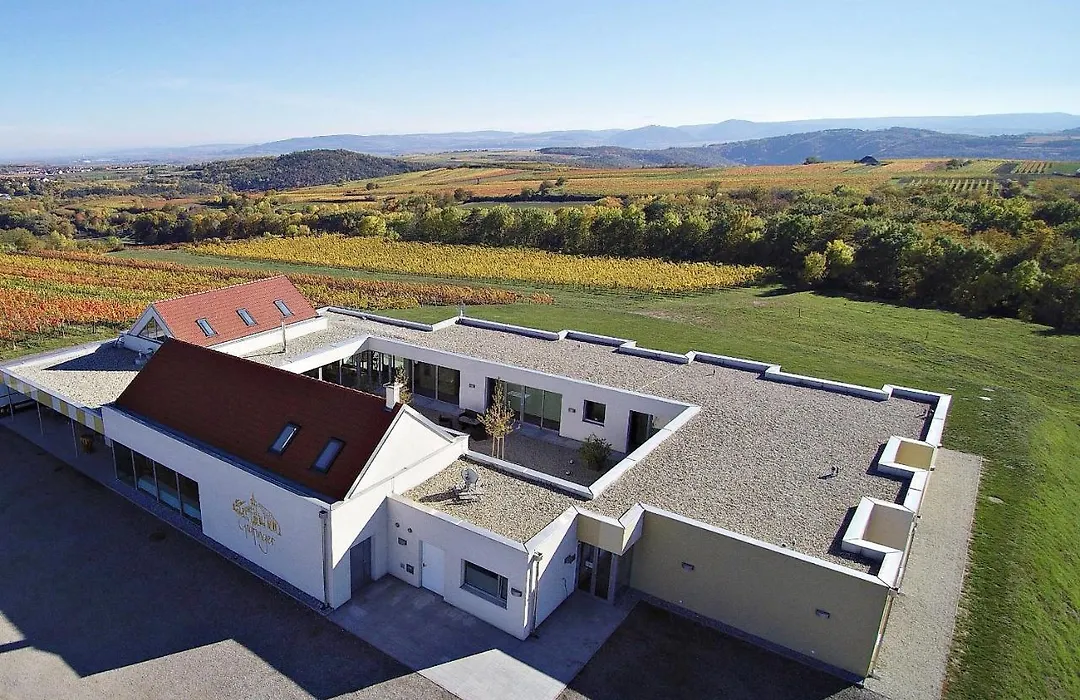 Weinblick Grafinger-1
