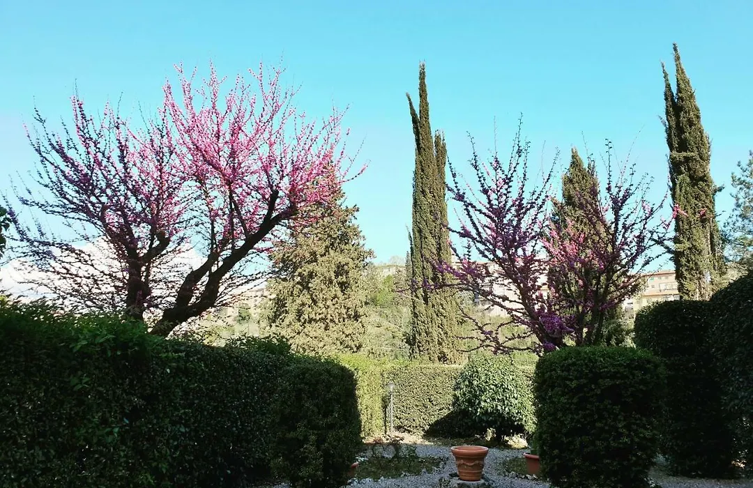 Villa Zara-1