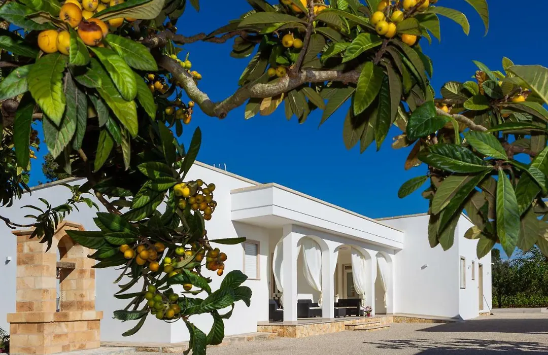 Paloma B&B-1