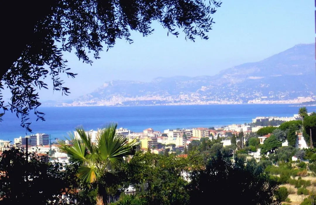Le Gardenie Da Fil-1