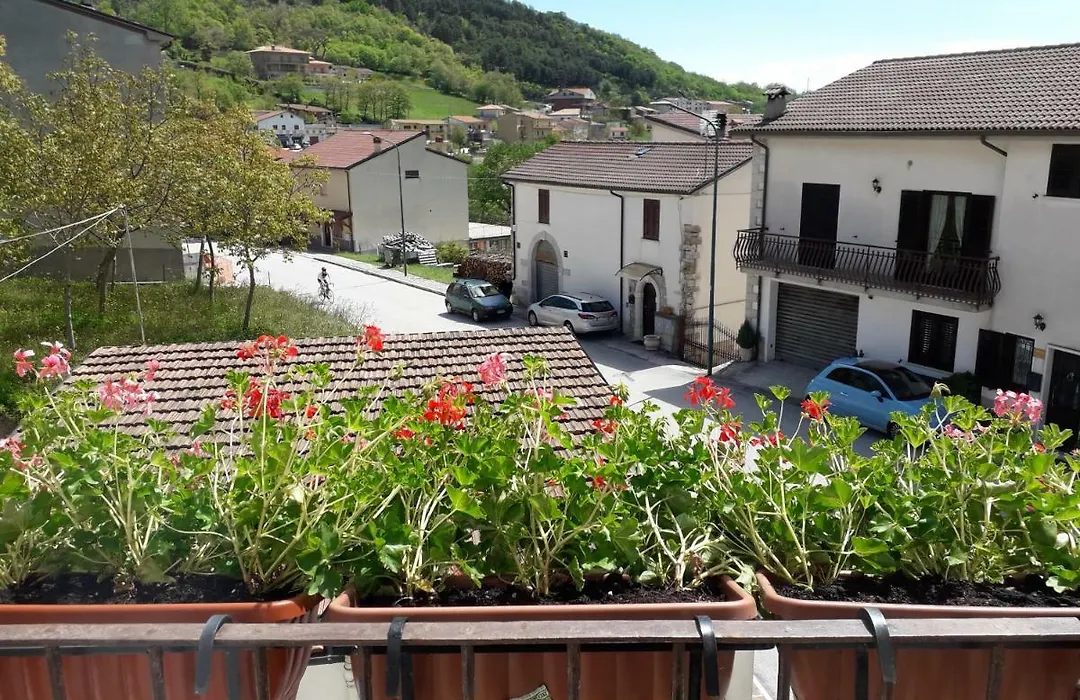 L'angolo fiorito-1