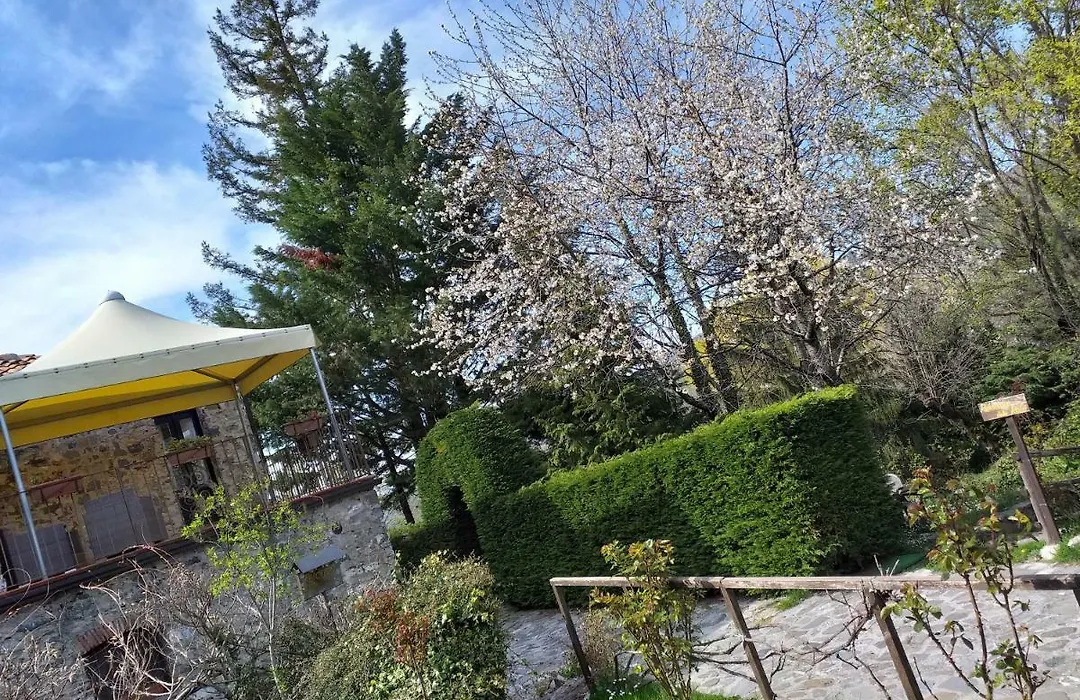 La Residenza Delle Rose-1