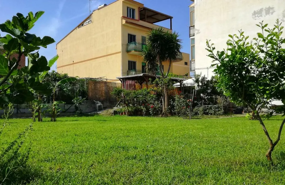 B&B Tifeo-1