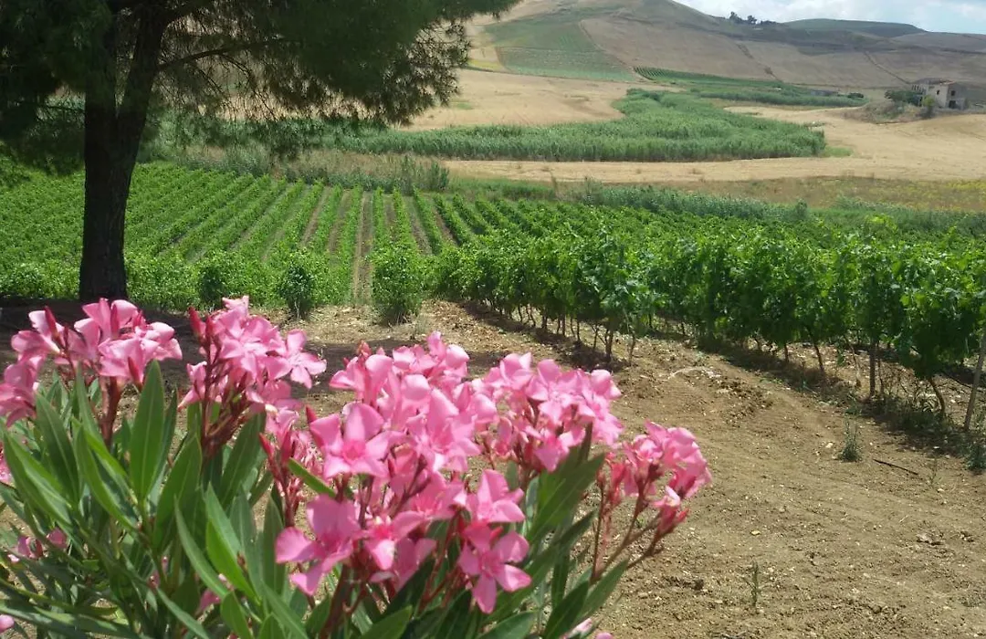 Terre Di Gratia-1