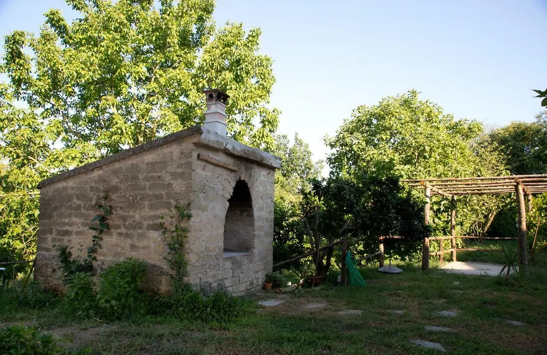 Il Moro Bianco-1
