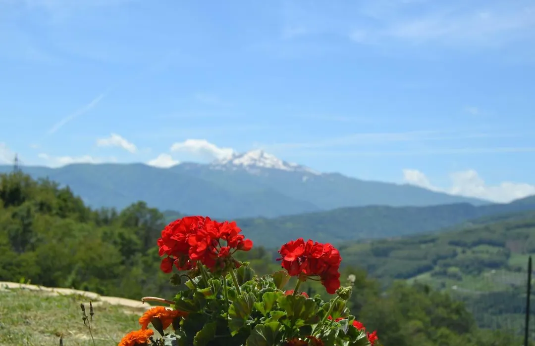 B&B Cimone-1