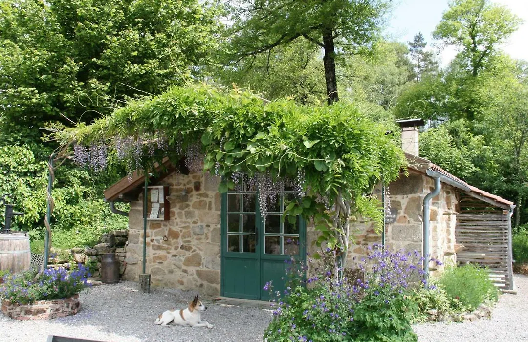 Domaine Les Teuilleres-1