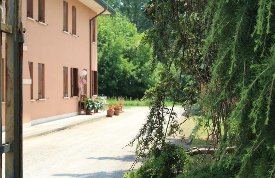 Quo Vadis Qui Vieni-1