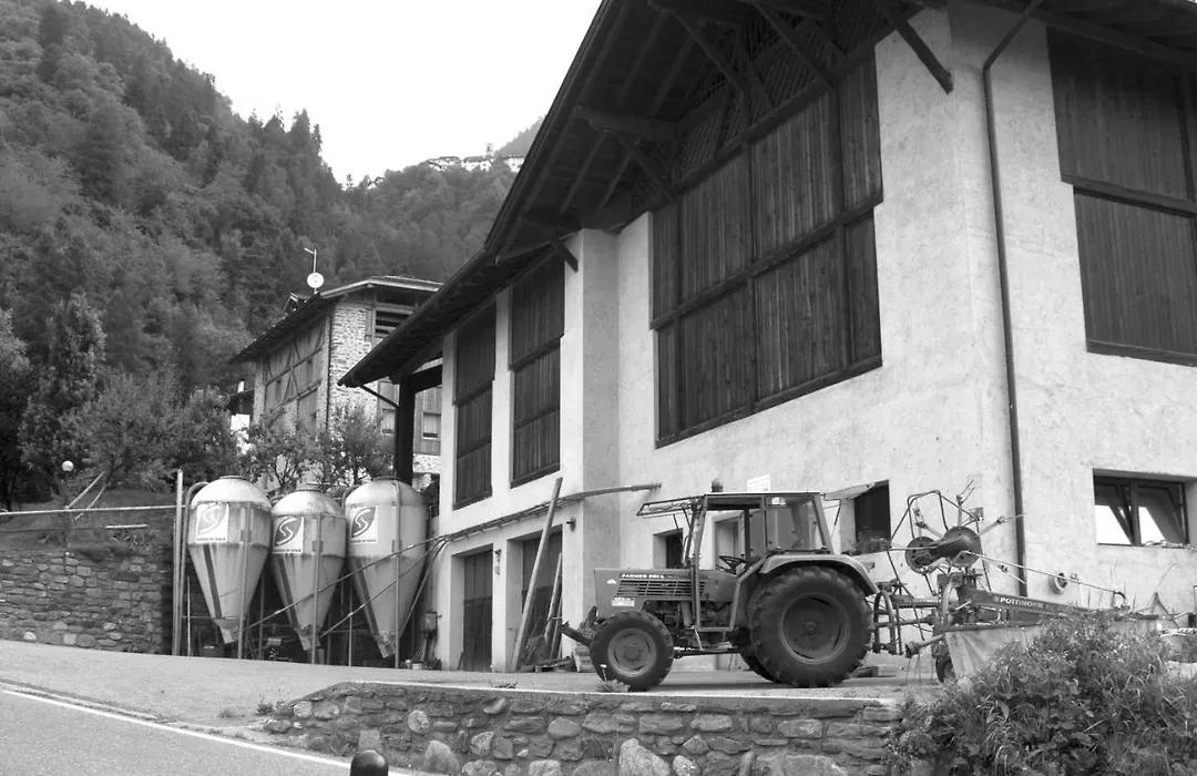 Agricampeggio Ai Gaggi-1