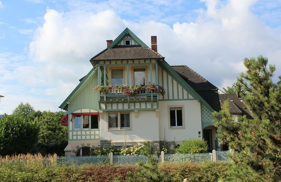 Schwarzwald Villa-1