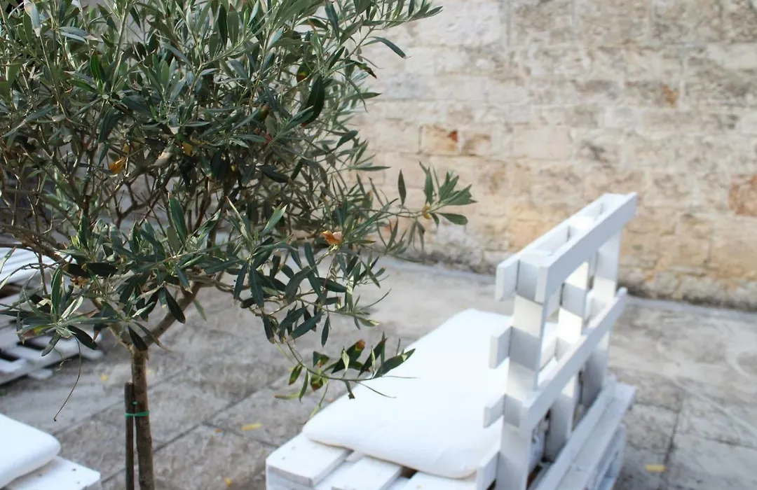 Domus Relax-1