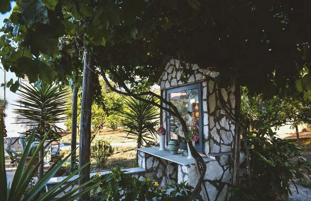 B&B L'Uliveto-1