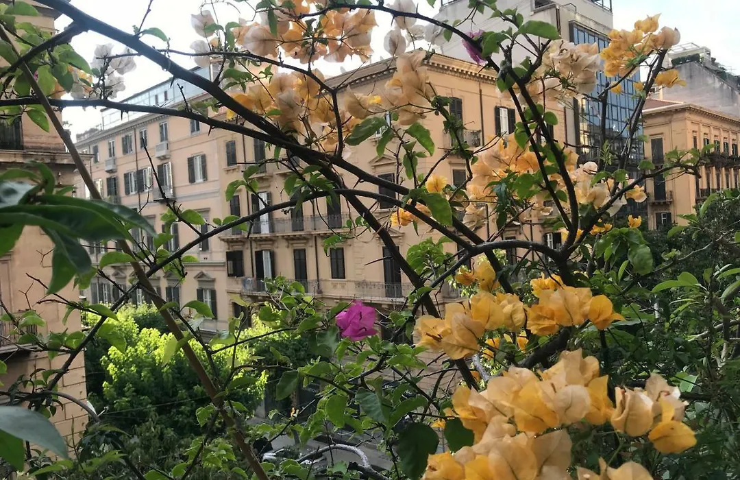 la casa dolce-1