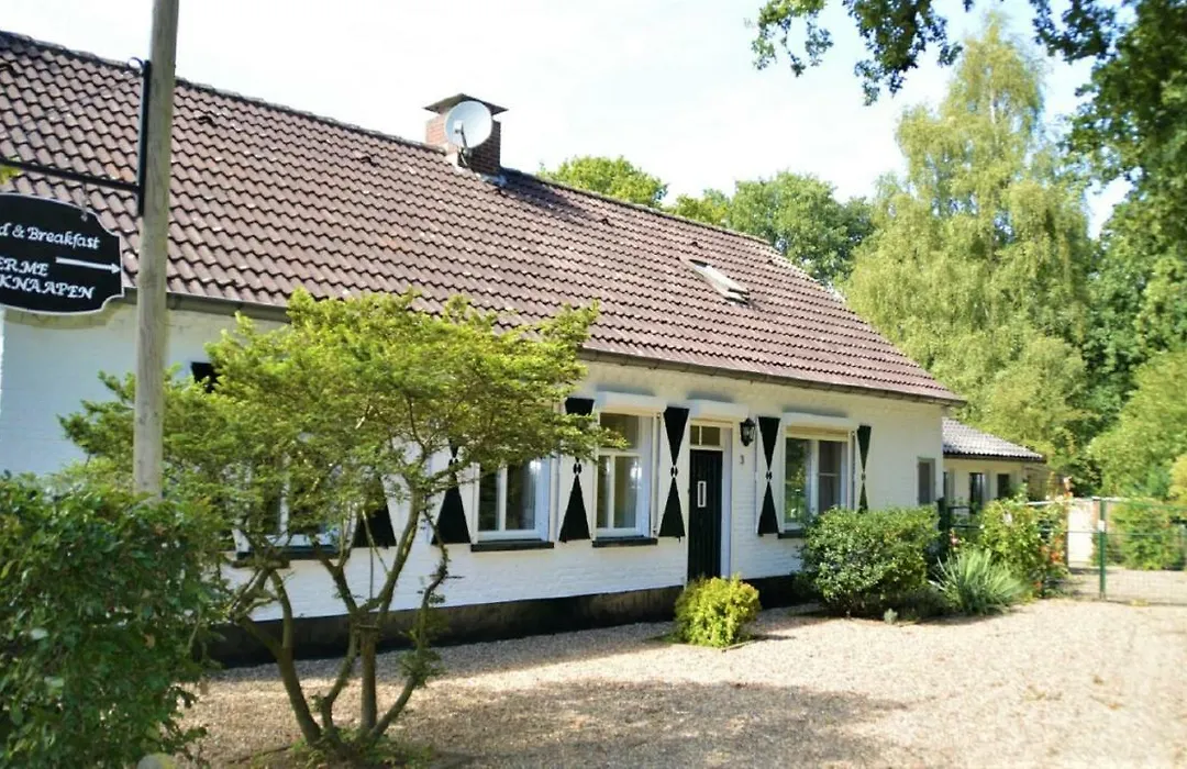 B&B Ferme Knaapen-1