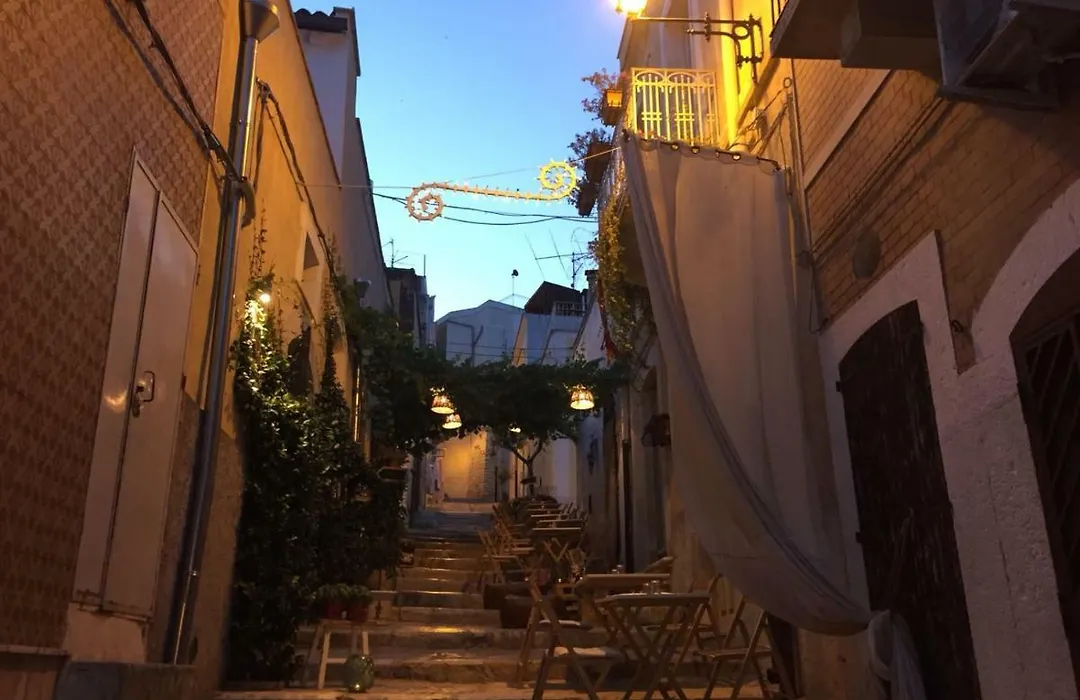 Casa 28-1