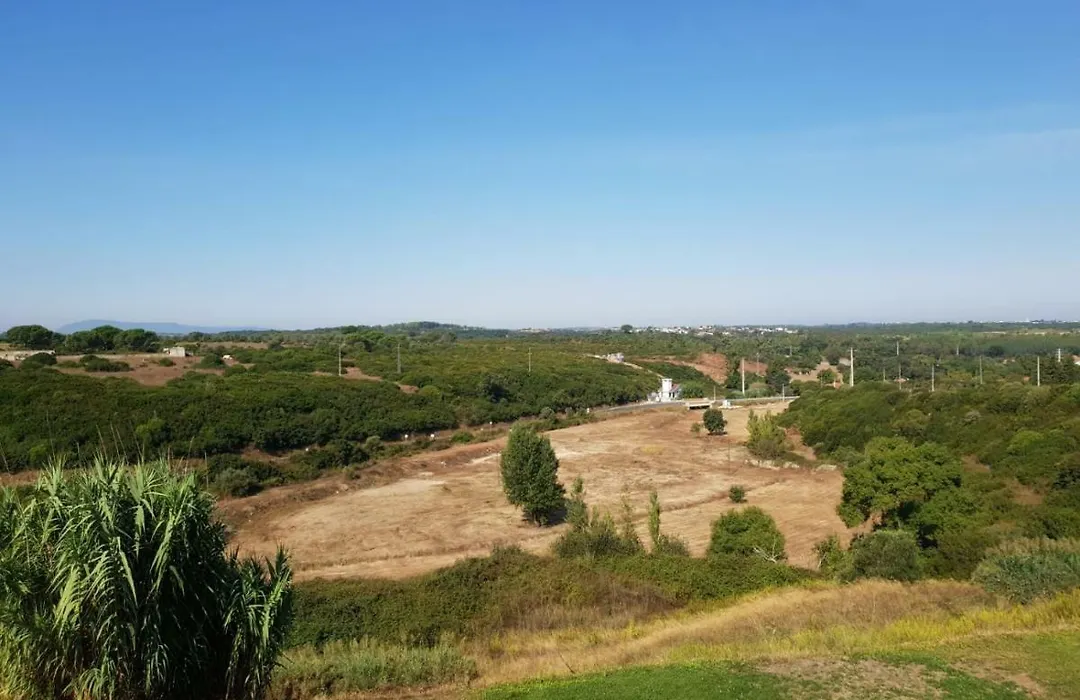 Quinta Helena-1