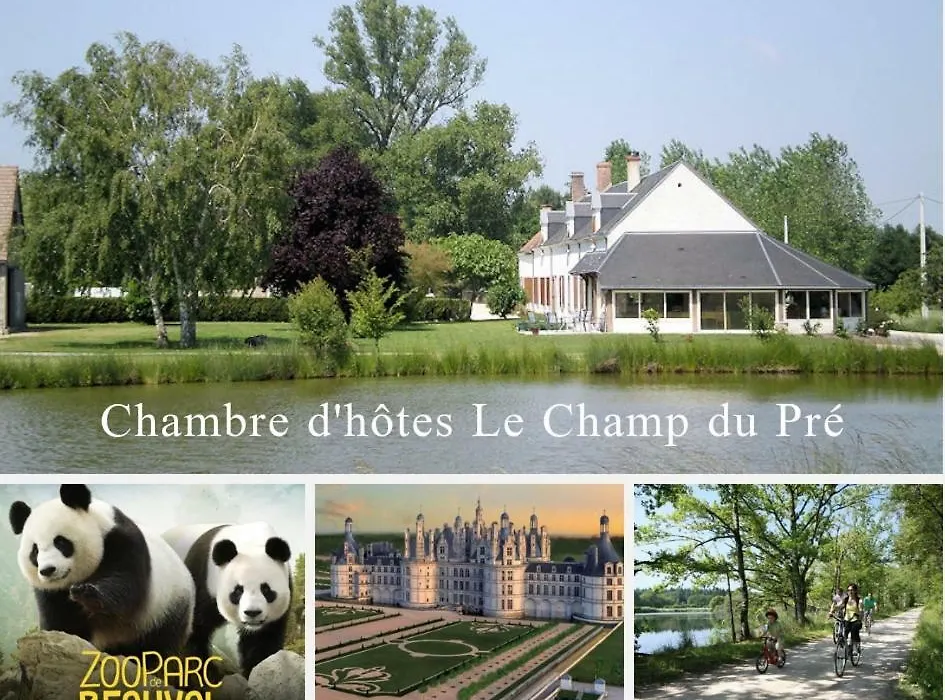 Le Champ du Pré-1
