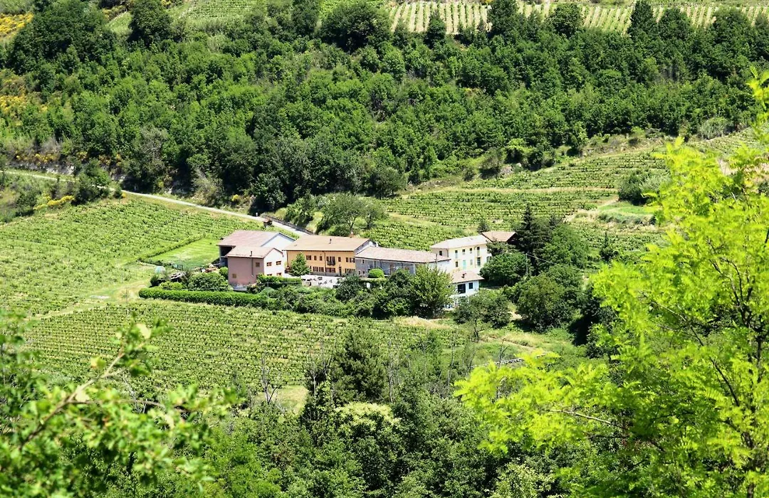 Casa Re - B&B e Vino a Montabone-1