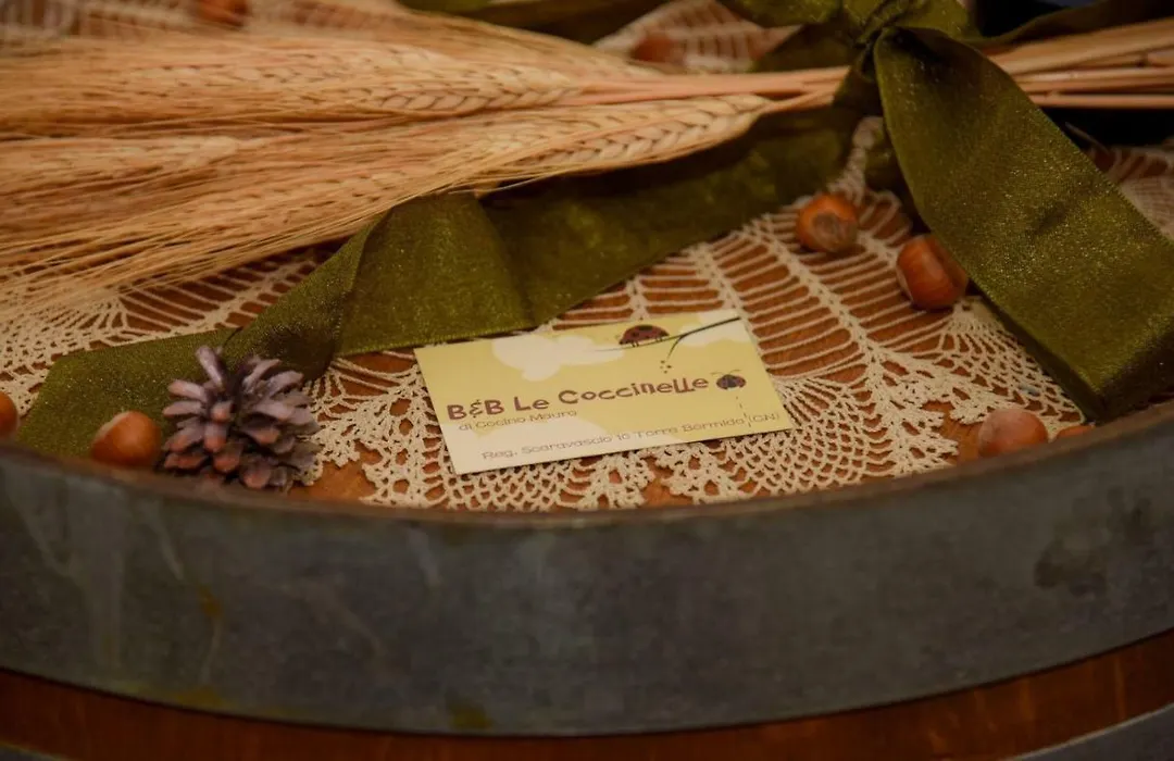 B&B Le Coccinelle-1