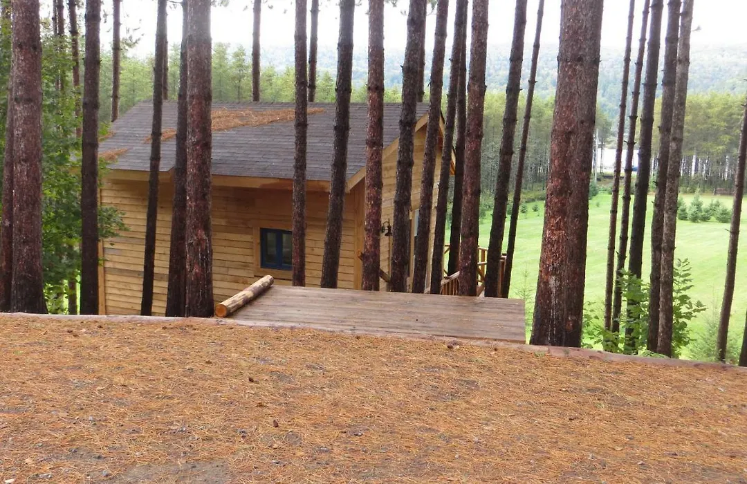 La maison sous les arbres-1