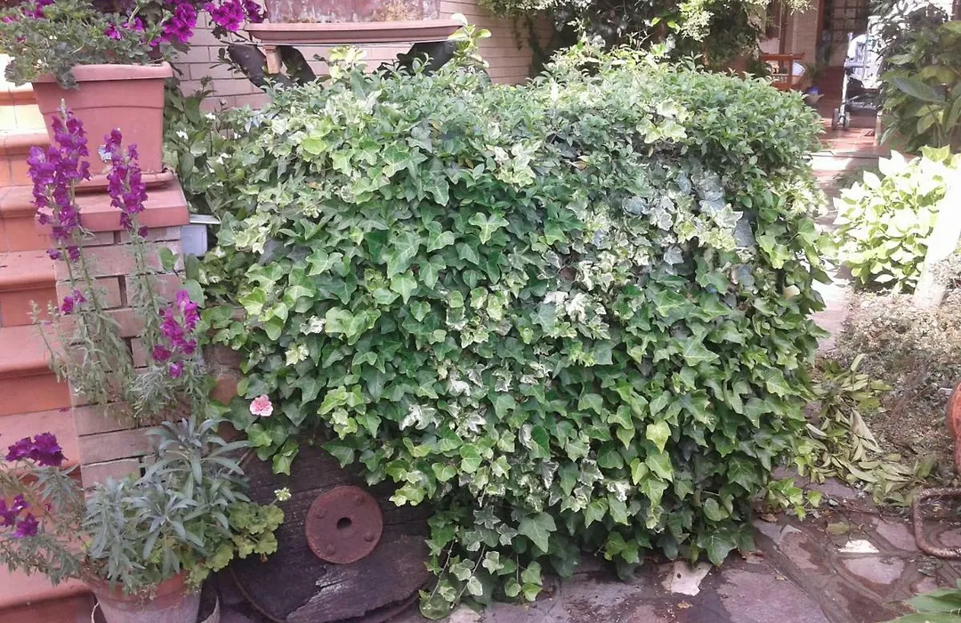 Bed And Breakfast Europe-1