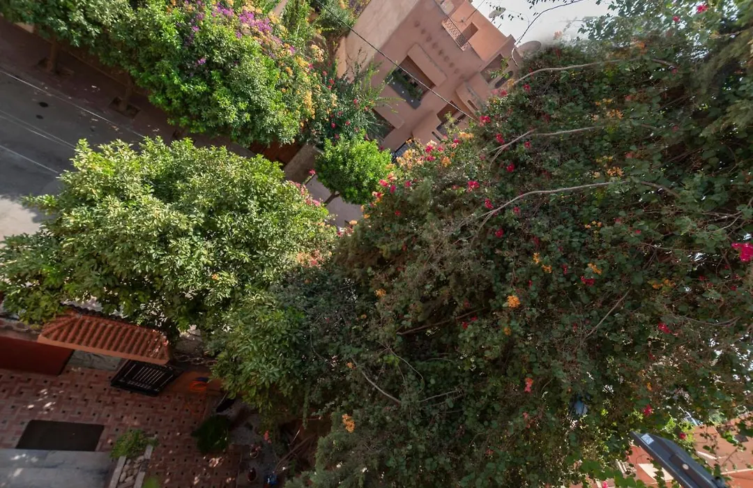 Villa Soraya Hammam & Jacuzzi-1