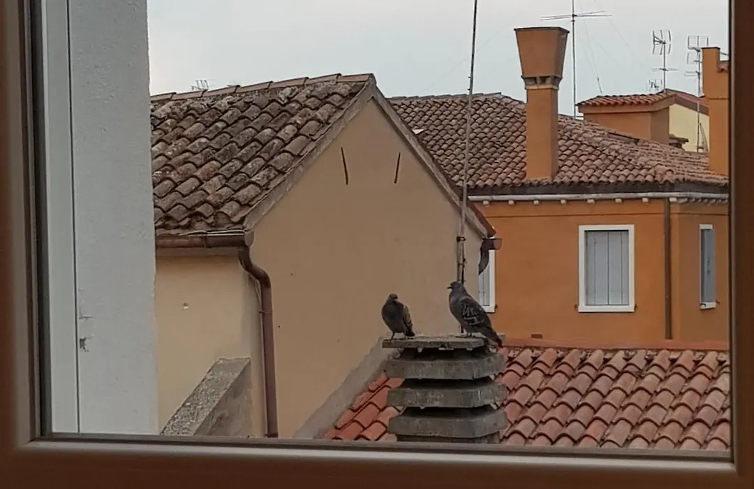 Ca' dell'Angelo-1