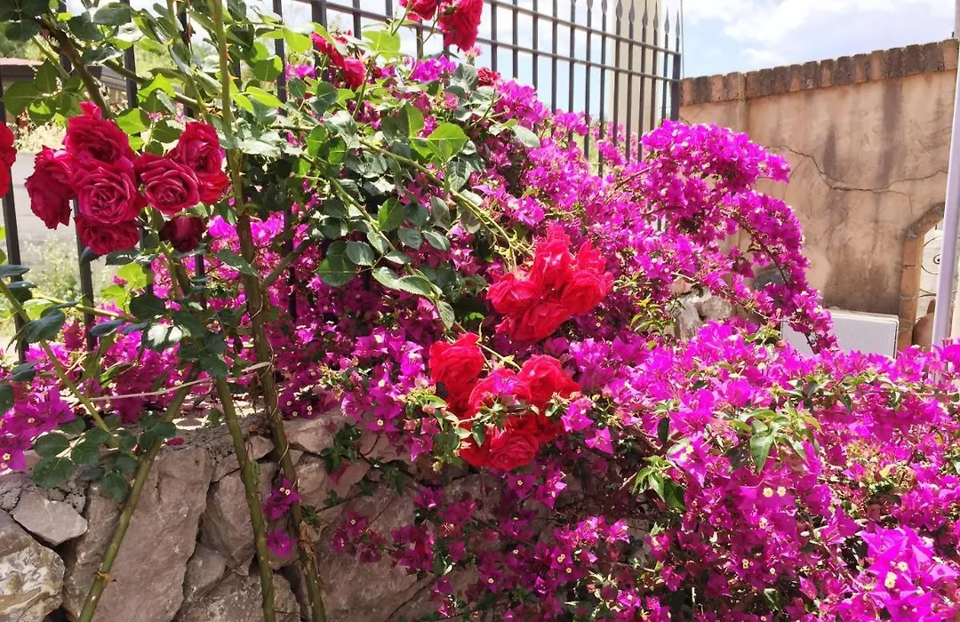 B&B Terre Di Sicilia-1