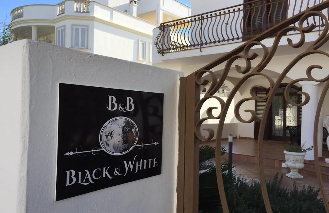 B&B Black-And-White-1