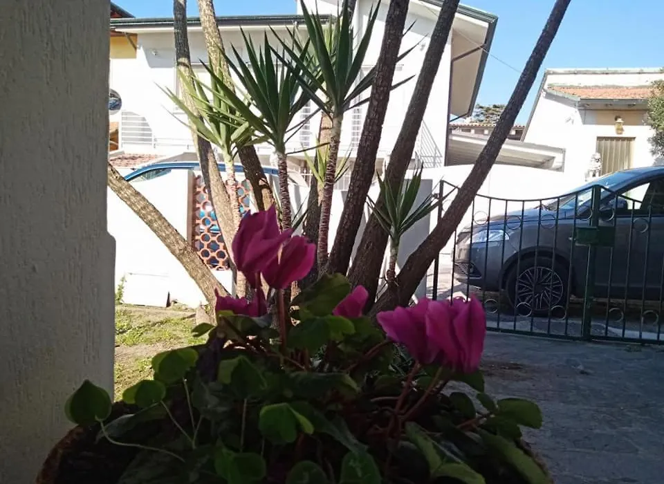 Florinda B&B Viareggio-1