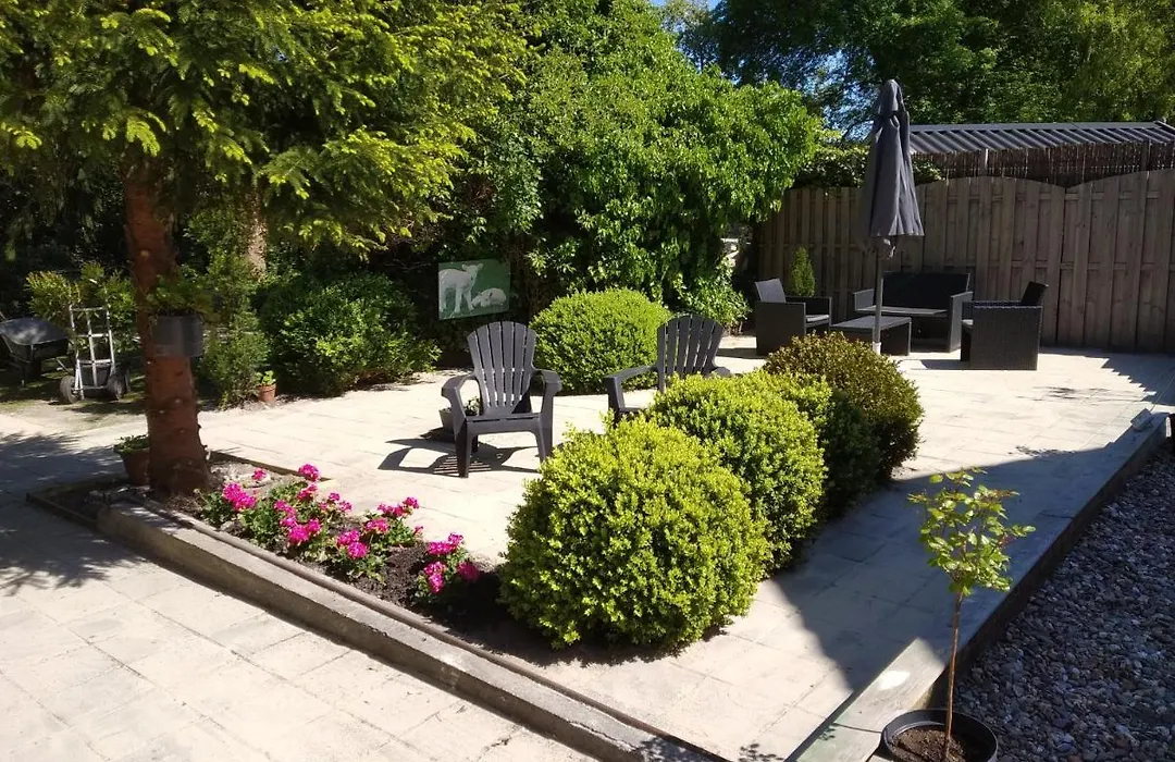 Bed&Breakfast Zuidlaren-1