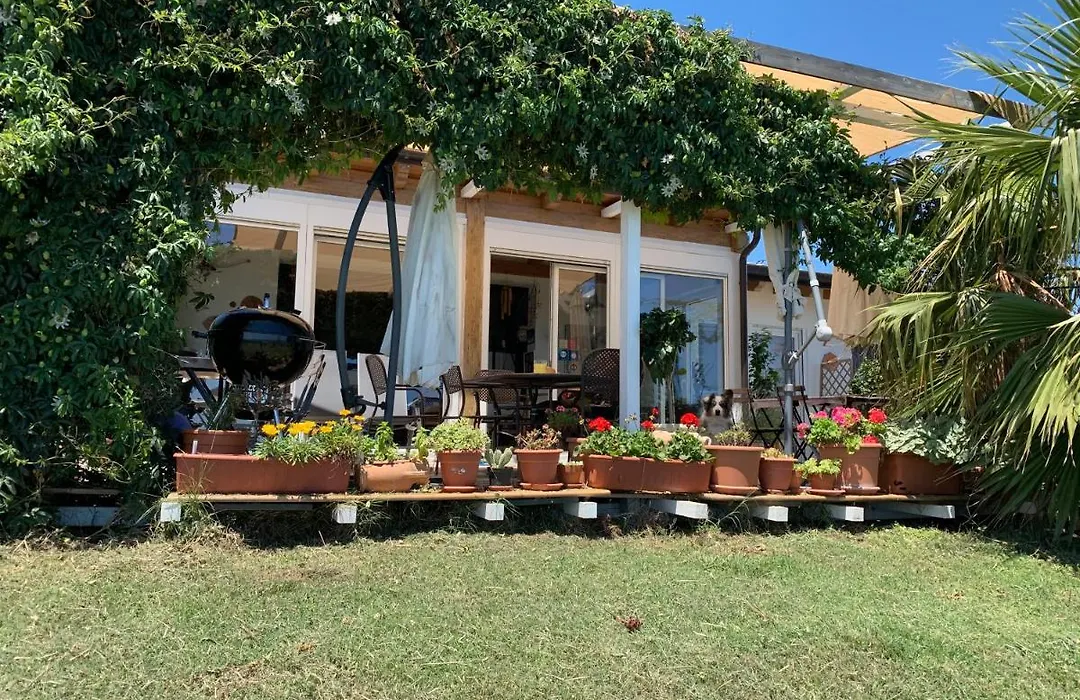 B&B Villa Sveva-1