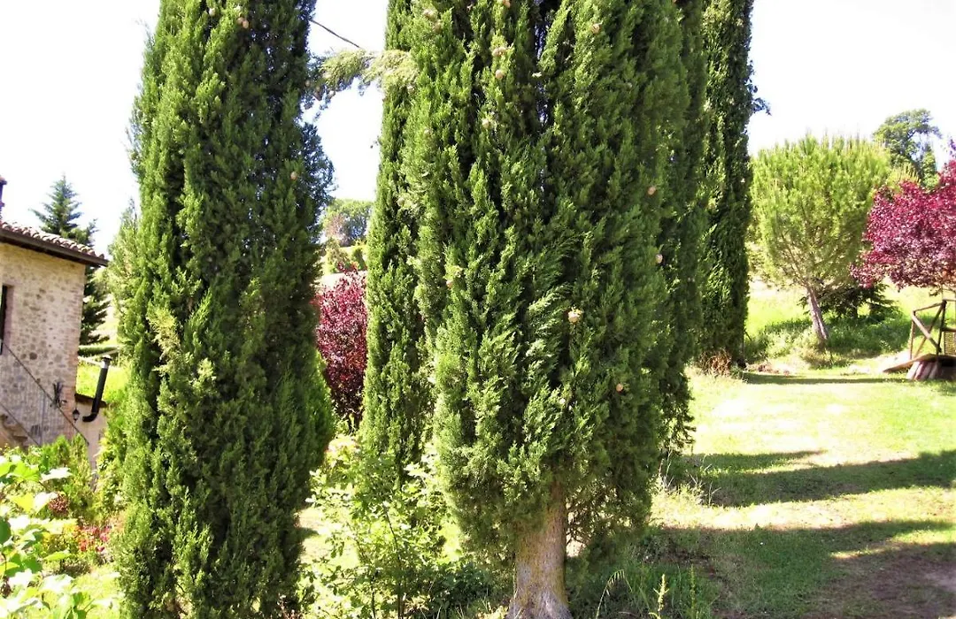 La Pietra Rara B&B-1