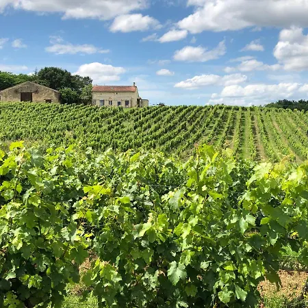 Chateau le Truch-2