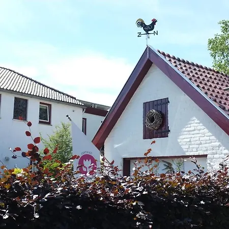 Bed And Breakfast De Hamsche Kuul-3