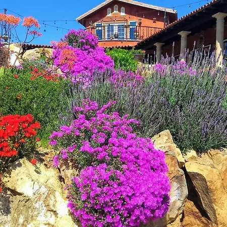 Viña Calabria-2
