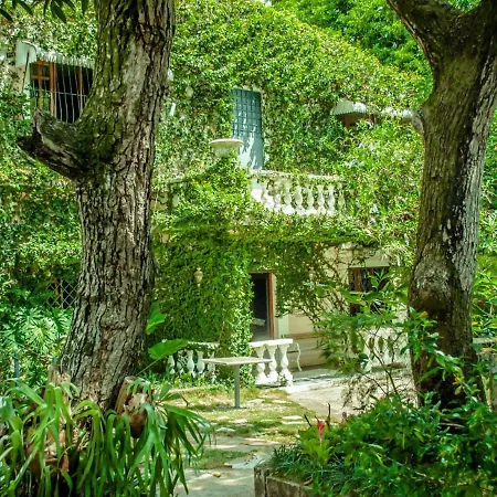 Villa Carolina Bed And Breakfast-2