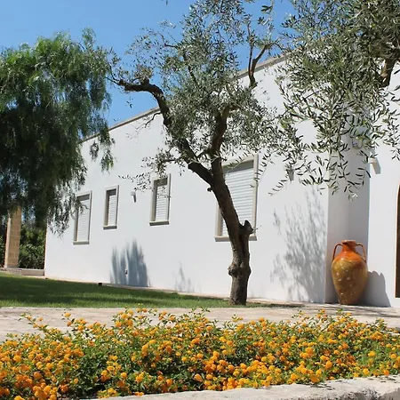 Paloma B&B-3