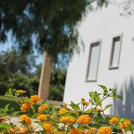 Paloma B&B-3