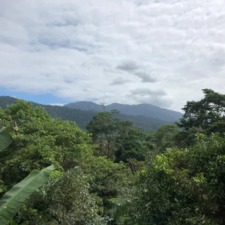 Mossman Gorge Bed And Breakfast-2