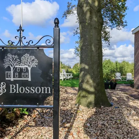 B&B Blossom-3