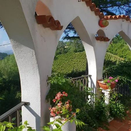 Il Giardino di Mai Exclusive B&b-3
