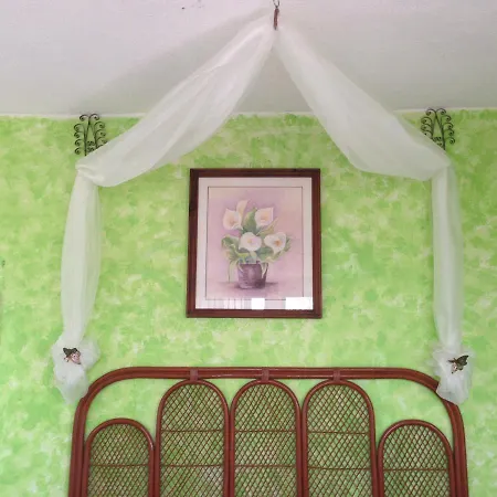 La Casa de los Globos-2
